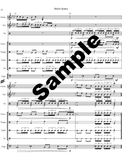 Bolero Spania (Digital Copy)