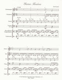 Gnome's Hoedown (Digital Copy)